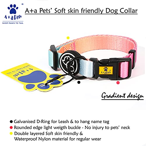 A+a Pets' Gradient' Collar