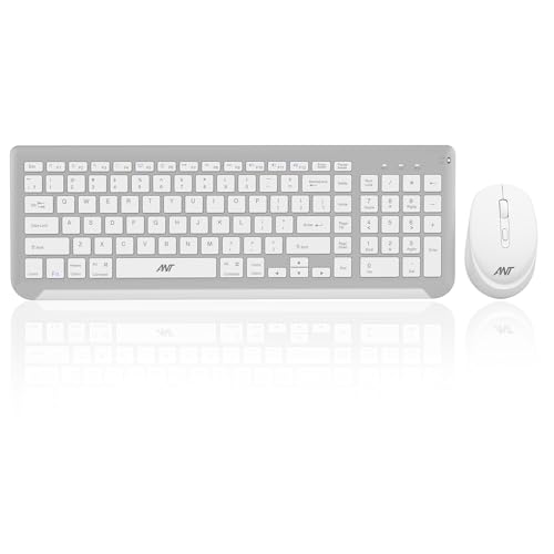 Ant WK250 Nano Wireless USB