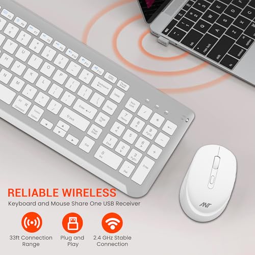 Ant WK250 Nano Wireless USB