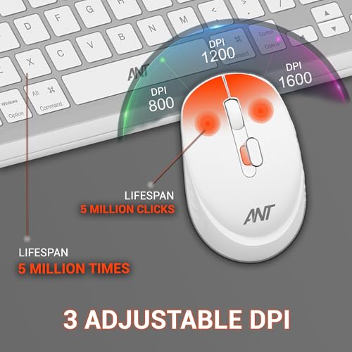 Ant WK250 Nano Wireless USB