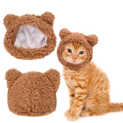 Cat Hat, Dog Hat, Cat