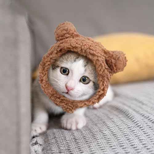 Cat Hat, Dog Hat, Cat