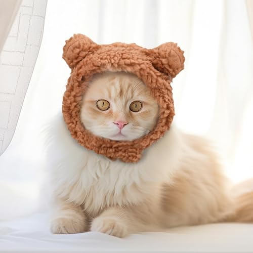 Cat Hat, Dog Hat, Cat