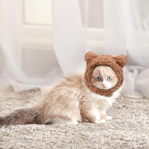 Cat Hat, Dog Hat, Cat