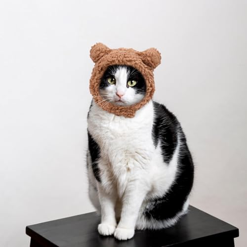 Cat Hat, Dog Hat, Cat