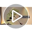 Cockatoo Rain-Guard Automatic Umbrella