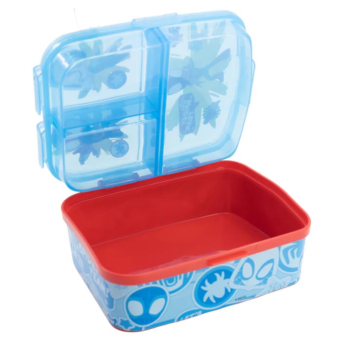 STRIDERS XL Multi Compartment Rectangular
