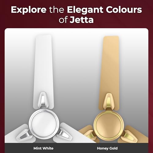 RR Signature Jetta 1200 MM