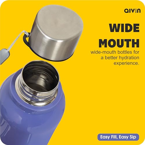 Aivin Crystal Insulated Stainless Steel
