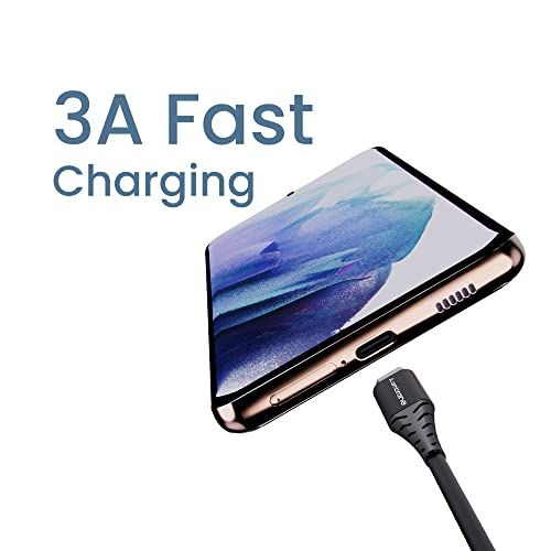 Ambrane 60W / 3A Fast