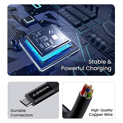 Ambrane 60W / 3A Fast