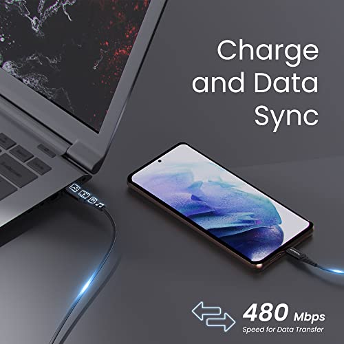 Ambrane 60W / 3A Fast