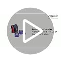 Signoraware Stainless Steel Executive Microsafe