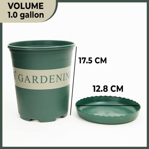 Kuber Industries Plant Pot||Water Drainage