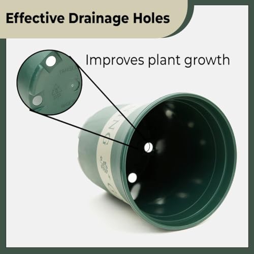 Kuber Industries Plant Pot||Water Drainage