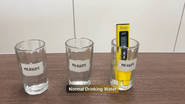 WaterLabs Digital pH Meter