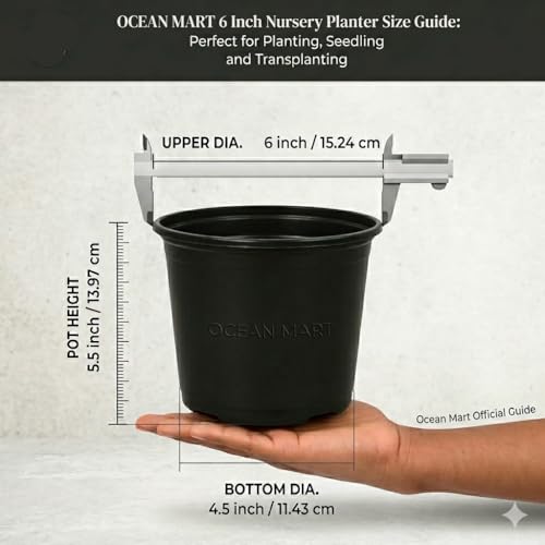 Plastic Flower Pots 6 Inch