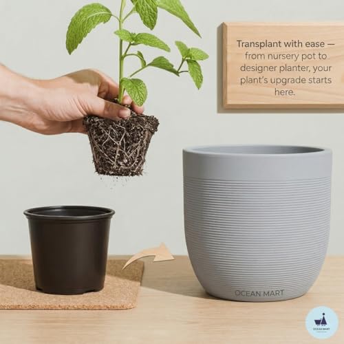 Plastic Flower Pots 6 Inch