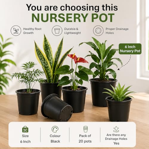 Plastic Flower Pots 6 Inch