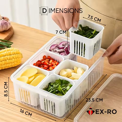 TEX-RO Fridge Storage Boxes Freezer