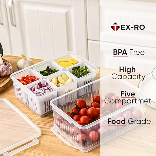 TEX-RO Fridge Storage Boxes Freezer