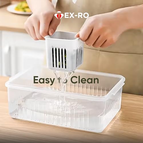 TEX-RO Fridge Storage Boxes Freezer