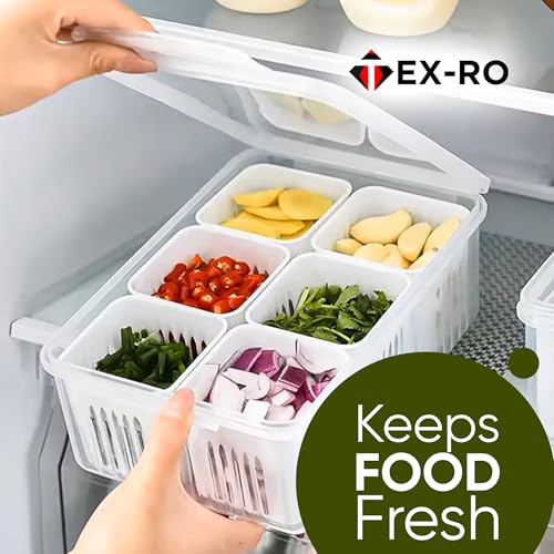 TEX-RO Fridge Storage Boxes Freezer