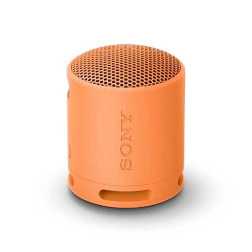 Sony SRS-XB100 Wireless Bluetooth Portable