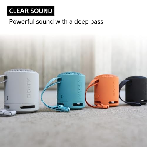 Sony SRS-XB100 Wireless Bluetooth Portable