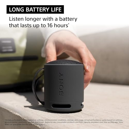 Sony SRS-XB100 Wireless Bluetooth Portable