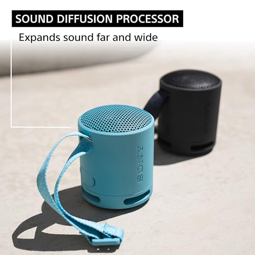 Sony SRS-XB100 Wireless Bluetooth Portable