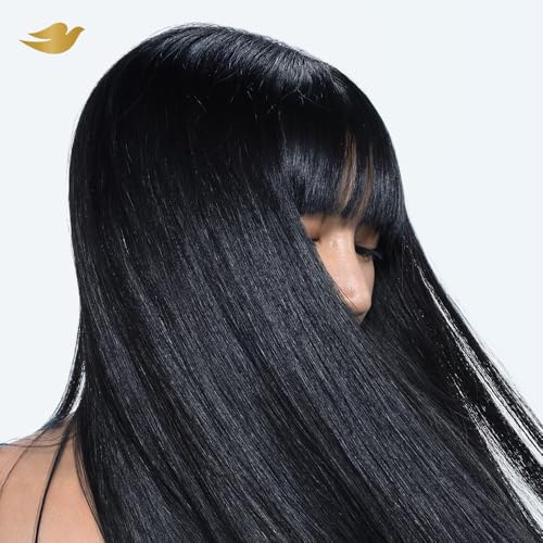 Dove Daily Shine Shampoo 650