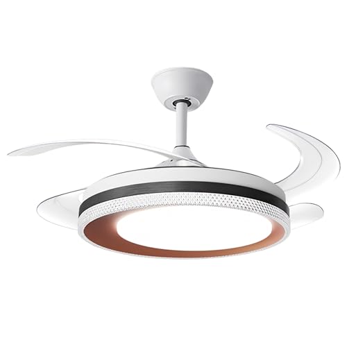 Hans Lighting Ceiling fan