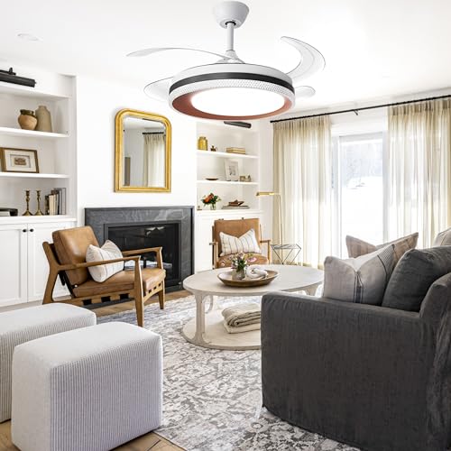 Hans Lighting Ceiling fan