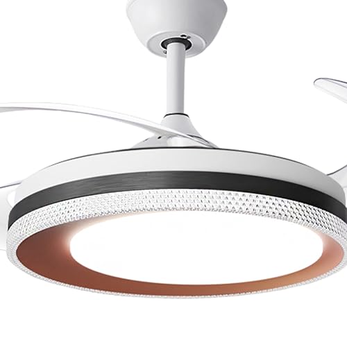 Hans Lighting Ceiling fan