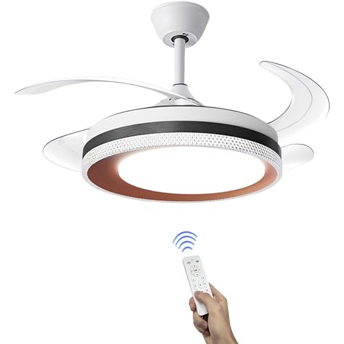 Hans Lighting Ceiling fan