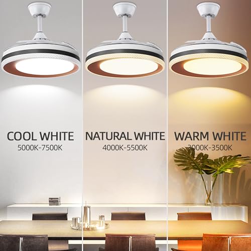 Hans Lighting Ceiling fan