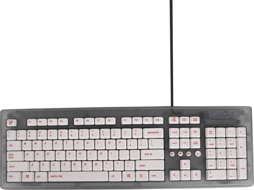 ZEBRONICS Zeb-companion 301 Wireless Standard