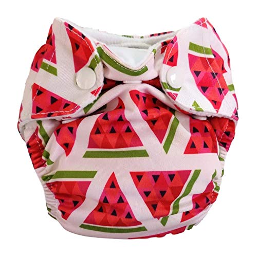Apple Blossoms Reusable Cloth diaper