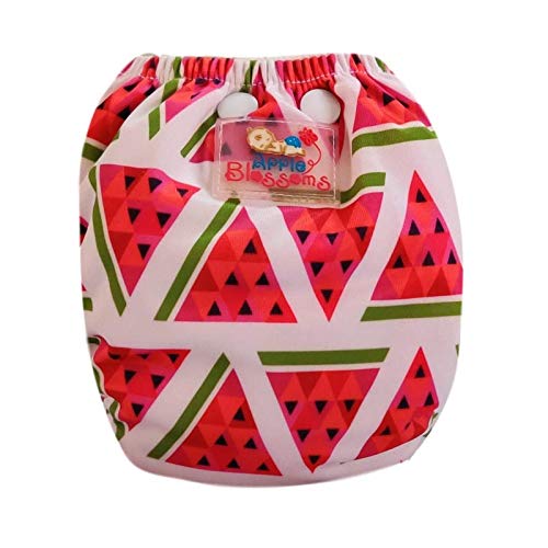 Apple Blossoms Reusable Cloth diaper
