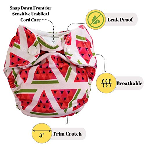 Apple Blossoms Reusable Cloth diaper