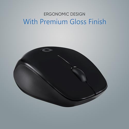 Wireless Mouse DS321-Black with USB