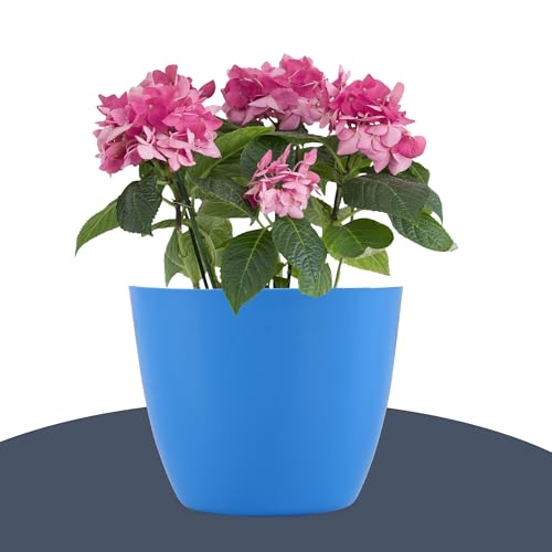 Kuber Industries Flower Pot