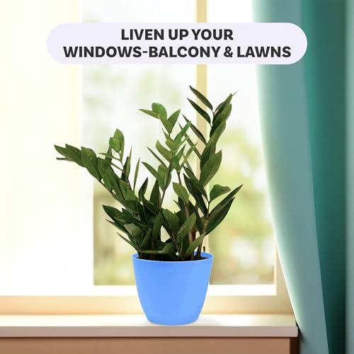 Kuber Industries Flower Pot