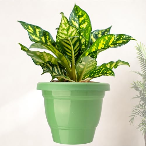 Heart Home Flower Pot