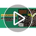 Cinagro Neem Cake Powder 100%