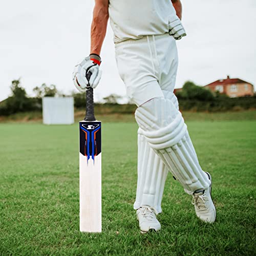 STARTER Kashmir Willow Cricket Bat