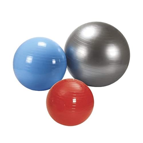 Vector X Gym Ball