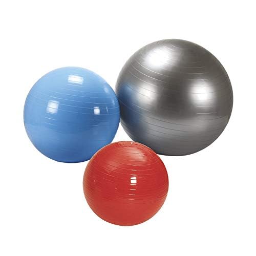 Vector X Gym Ball