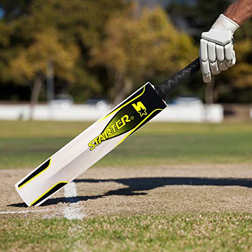 Starter Kashmir Willow Cricket Bat